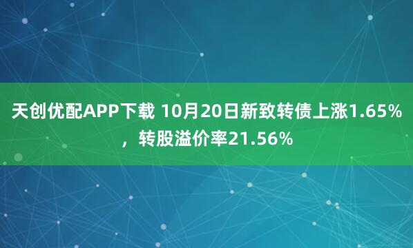 天创优配APP下载 10月20日新致转债上涨1.65%，转股溢价率21.56%