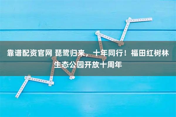 靠谱配资官网 琵鹭归来，十年同行！福田红树林生态公园开放十周年