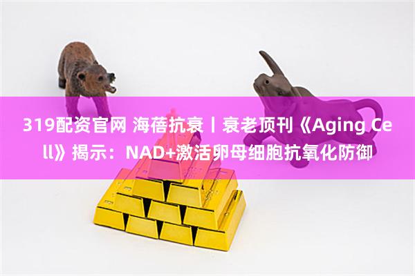 319配资官网 海蓓抗衰丨衰老顶刊《Aging Cell》揭示：NAD+激活卵母细胞抗氧化防御