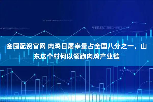 金囤配资官网 肉鸡日屠宰量占全国八分之一，山东这个村何以领跑肉鸡产业链